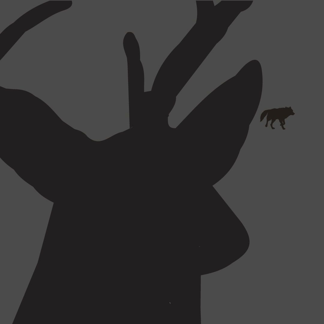 Deer watching wolf silhouette